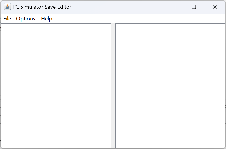 Program window